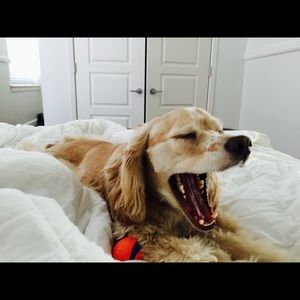 Meet your Posher, Greg